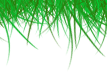 Local Lawns - Lawn Mowing in Moorabbin, Bentleigh, Cheltenham, Highett, McKinnon, Hampton East & Brighton East Local Lawns - Lawn Mowing in Moorabbin, Bentleigh, Cheltenham, Highett, McKinnon, Hampton East & Brighton East