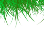 Local Lawns - Lawn Mowing in Moorabbin, Bentleigh, Cheltenham, Highett, McKinnon, Hampton East & Brighton East Local Lawns - Lawn Mowing in Moorabbin, Bentleigh, Cheltenham, Highett, McKinnon, Hampton East & Brighton East