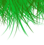 Local Lawns - Lawn Mowing in Moorabbin, Bentleigh, Cheltenham, Highett, McKinnon, Hampton East & Brighton East Local Lawns - Lawn Mowing in Moorabbin, Bentleigh, Cheltenham, Highett, McKinnon, Hampton East & Brighton East