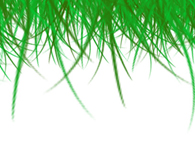 Local Lawns - Lawn Mowing in Moorabbin, Bentleigh, Cheltenham, Highett, McKinnon, Hampton East & Brighton East Local Lawns - Lawn Mowing in Moorabbin, Bentleigh, Cheltenham, Highett, McKinnon, Hampton East & Brighton East