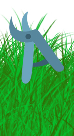 Local Lawns - Lawn Mowing in Moorabbin, Bentleigh, Cheltenham, Highett, McKinnon, Hampton East & Brighton East Local Lawns - Lawn Mowing in Moorabbin, Bentleigh, Cheltenham, Highett, McKinnon, Hampton East & Brighton East